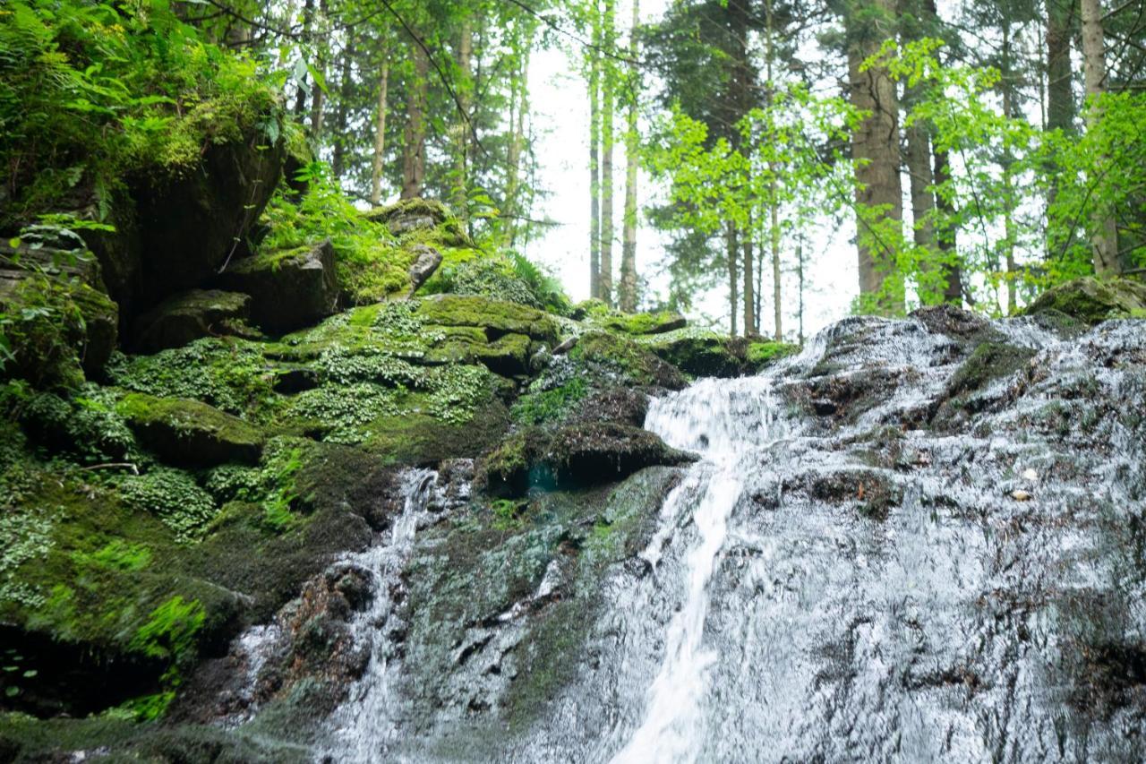 U Dvori Hotel Podgorodtsy Екстериор снимка